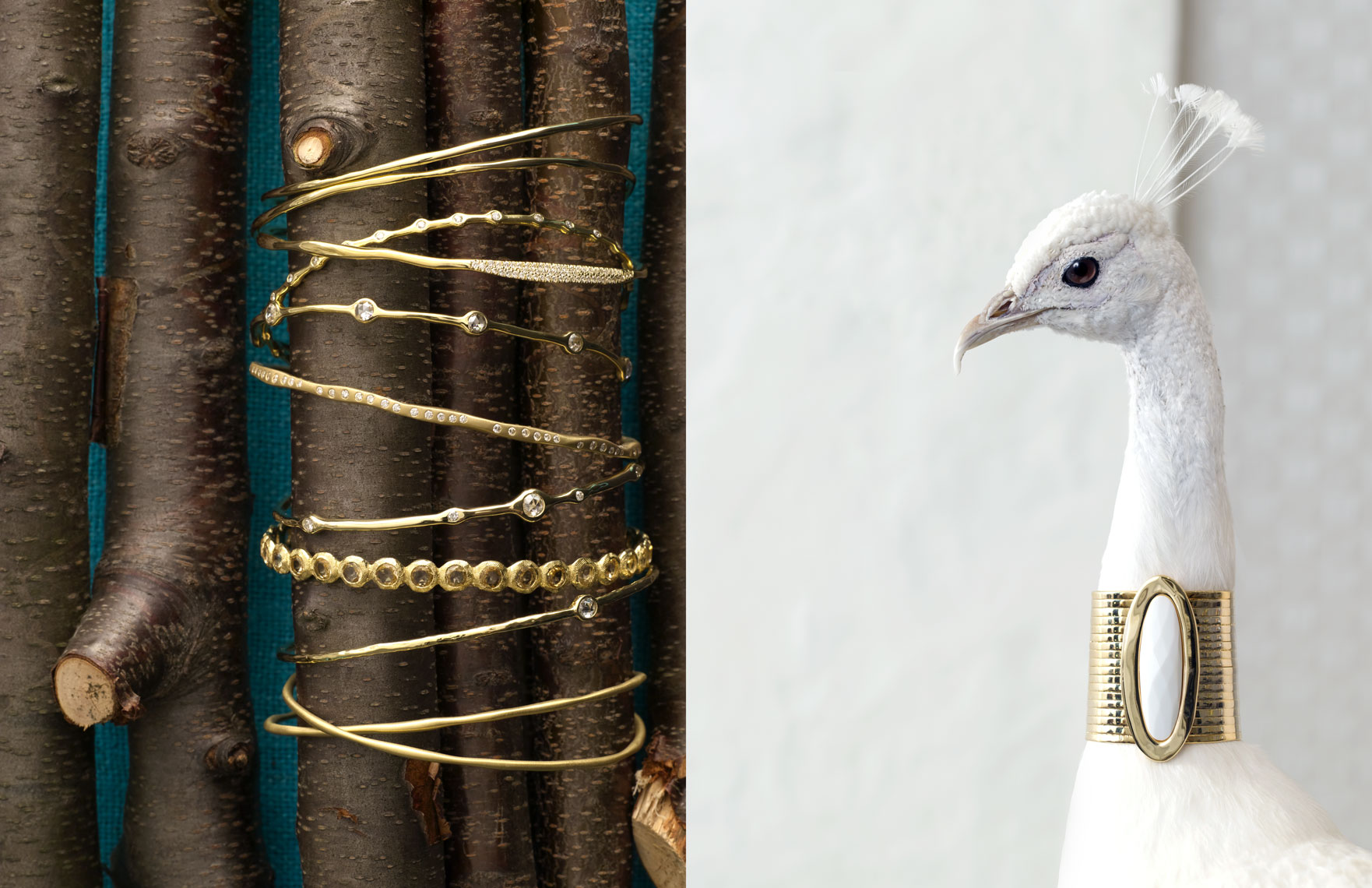 Bracelets_Bird
